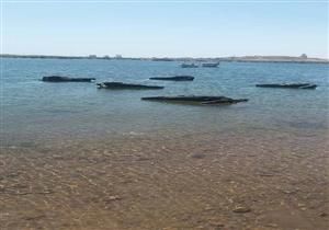  بالصور.. مطار أسوان يجري تجربة طوارئ لسقوط طائرة ببحيرة ناصر