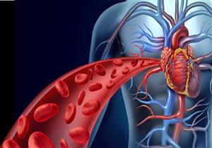 طبيب يكشف علامات مرض الشريان التاجي