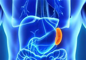 ما خطورة تضخم الطحال؟.. هكذا يتم التعامل معه