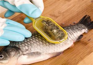 علماء يكشفون فائدة علاجية غير مسبوقة لحراشف الأسماك