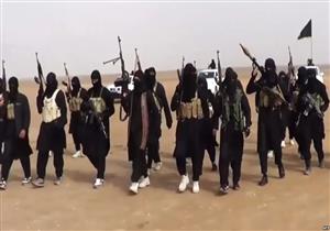 مسؤول مصري: الاضطراب في جنوب ليبيا مع عودة داعش يزيد الضغط علينا