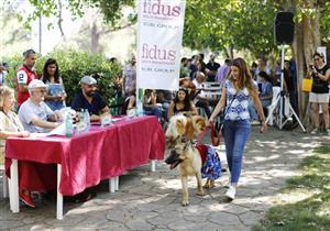 مهرجان لتدليك الكلاب في لبنان