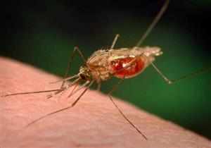 تحذيرات من عودة تفشي الملاريا في العالم