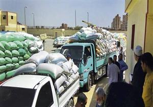 حظر زراعة الأرز وتوريد 7769 طن قمح للشون والصوامع بأسيوط