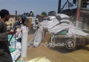 بالصور ... تكدس الشاحنات وتمزيق الأجولة أبرز شكاوى المزارعين خلال توريد الأقماح بسوهاج