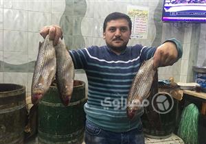 بالصور| نبروه بلد الفسيخ.. إقبال كبير وإنتاج وفير ومزارع الجيش وراء تراجع الأسعار (فيديو)