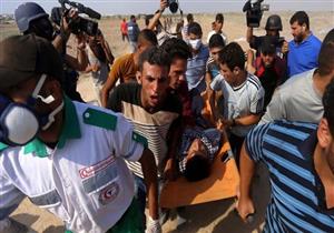 "النرويجي للاجئين" يطالب بمساءلة إسرائيل على جرائمها ضد متظاهري غزة