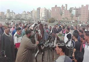 ليلة بكت فيها الخيول.. ضرب وتعذيب في مسابقة "العربجية" بالدقهلية