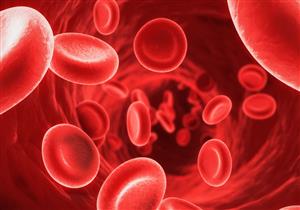 ما مخاطر ارتفاع نسبة الحديد في الدم؟