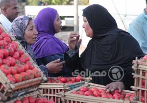 بينها الطماطم والخيار والبصل.. أسعار الخضروات ترتفع قبيل شهر رمضان