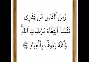 من أسرار القرآن 12.. الفرق بين "شرى" و"اشترى"