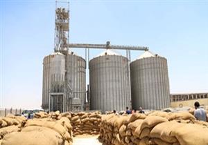 توريد 68 ألف طن قمح لصوامع القليوبية