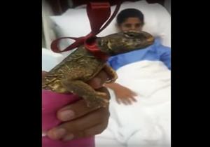 خليجي يرعب طفلا داخل مستشفى بـ"سحلية" (فيديو)