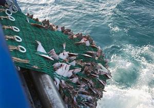 صحيفة:الأوروبيون يشكون من تنافس صيني تركي في شواطئ موريتانيا