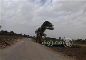 بالصور- رياح شديدة تضرب سوهاج.. وقطع الكهرباء عن بعض المناطق