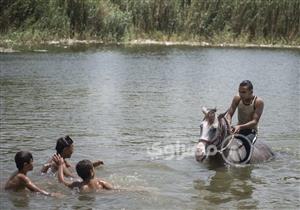 "هروب في النيل".. مصريون يتحدون الحر "بالعوم" (صور)