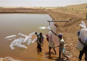 البدء في تنفيذ أول مزرعة سمكية بالوادي الجديد في الداخلة على مساحة 25 فدان