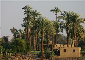 مستثمرون يضعون آمالا عريضة على "هيئة تنمية الصعيد" في حل مشكلاتهم