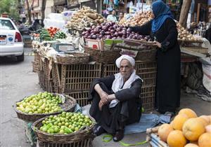 المشمش والطماطم بـ10 جنيهات.. أسعار الخضار والفاكهة في أسواق المنوفية