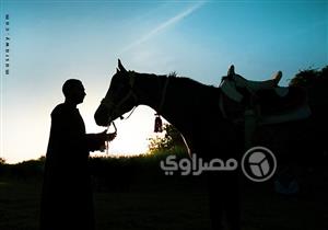 "واحد من العيلة".. أسرة صعيدية تدفن حصانها وتتلقى فيه العزاء