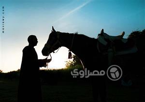 "واحد من العيلة".. أسرة صعيدية تدفن حصانها وتتلقى فيه العزاء