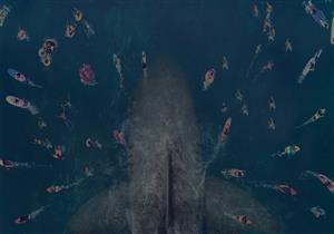 في أسبوعه الأول.. "The Meg" يحقق إيرادات خيالية (فيديو وصور)