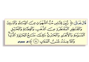 {زُيِّنَ لِلنَّاسِ حُبُّ الشَّهَوَاتِ}.. آية ومعنى وسبب النزول‬