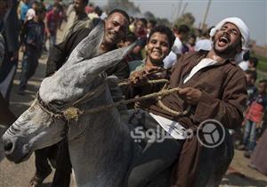 بالصور-ماراثون الحمير في البراجيل.. "ادخل السباق وفُك التكشيرة"