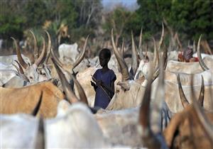 مقتل أكثر من 100 شخص خلال سرقة ماشية في جنوب السودان