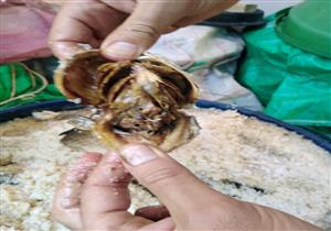 ​"به ديدان حية".. الصحة تضبط 20 طن فسيخ فاسد (صور)