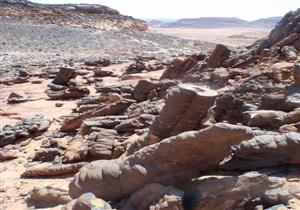 "جبل فلوجا" المفقود.. غابة الأعمدة البركانية المتحجرة في جنوب سيناء - صور