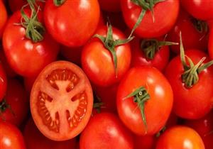 دراسة جديدة: الطماطم تزيد نسبة الحيوانات المنوية لدى الرجال