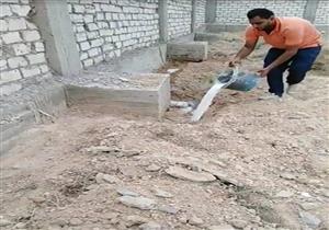 يهدد المباني.. زراعة الإسكندرية تكافح النمل الأبيض في العامرية - صور