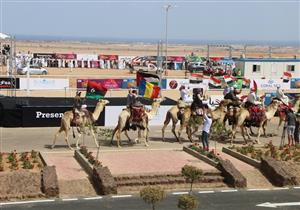 بالصور- انطلاق فعاليات مهرجان شرم الشيخ الأول للهجن بمشاركة 14 دولة