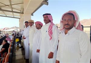 الوادي الجديد تشارك في مهرجان سباق الهجن بشرم الشيخ