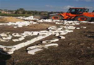  بالصور.. زالة 3 حالات تعد على أراض زراعية بدمياط 