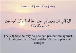 الروبي مفسرًا قوله تعالى {وَلَنْ أَجِدَ مِن دُونِهِ مُلْتَحَدًا}