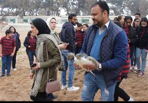 بالصور.. إنقاذ سلحفاتين مهددتين بالانقراض في الإسكندرية