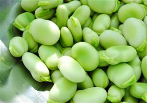 أضرار الفول الأخضر- متى يسبب الوفاة المفاجئة؟