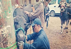 "التناسليات الحيوانية" ينتهي من تنفيذ 6 قوافل بيطرية مجانية بقرى الجيزة