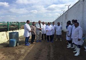 صور| وكيل "بيطري الدقهلية" يتفقد أعمال التحصين في محجر "كوهية"