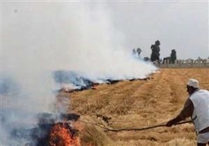 السيطرة على حريق التهم محصول القصب في 15 فدانا بالأقصر