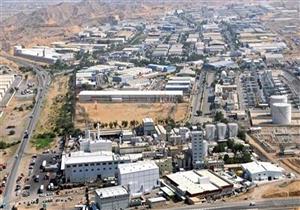 أكبر مستثمر لبناني في مصر يقترح إقامة منطقة صناعية على غرار الروسية