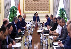 الحكومة تدرس إنشاء شركة وطنية للشحن والنقل البحري لربط مصر بأفريقيا 