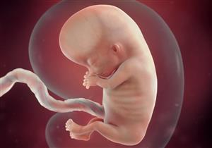 بالفيديو.. 4 دقائق ترصد مراحل نمو الجنين خلال 9 أشهر