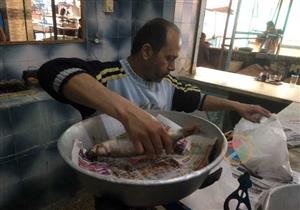 الفسيخ بـ140 جنيه| تجار الإسماعيلية: اتفقنا على السعر.. وعودة "التمليح المنزلي"