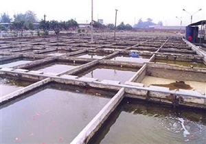 الانتهاء من المرحلة الأولى بالمزرعة السمكية "30 يوليو" بتكلفة 40 مليون جنيه