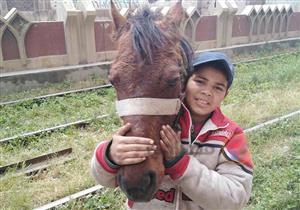 في حب "حبيشة".. طفل ينقذ حصانه من الموت بعد قصة صداقة استثنائية بالإسكندرية (صور)