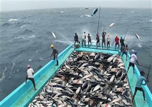   البلوك تشين.. تطبيق ذكي يكشف عن سلامة الأسماك قبل شرائها