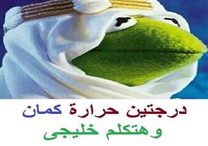 هكذا علق نجوم الفن على ارتفاع درجات الحرارة "الله.. الوطن.. التكييف" 